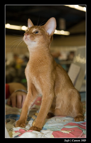 Sep 06 - Salon des animaux de compagnies - 24